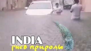 Crocodiles on the streets, a terrible flood in India, Gujarat state