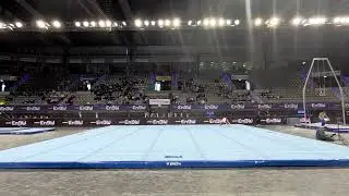 Bidzina Sitchinava - Georgien - Boden - EnBW DTB Pokal 2025