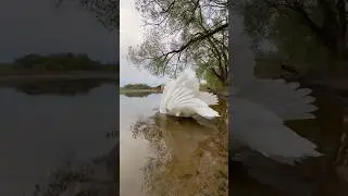 Вот часть обязанностей, которые выполняет Алесь. 