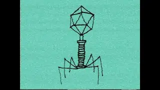 DM DOKURO - bacteriophage