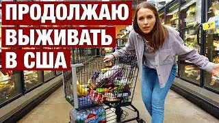 ВСЮ ЗАРПЛАТУ НА ПРОДУКТЫ В АМЕРИКЕ