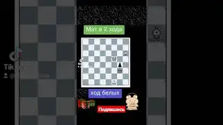 Шахматная задачка 