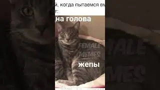Мемы есть мемы 