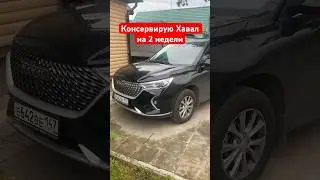 Консервация Хавал М6 на 2 недели ) #хавал