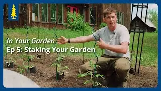 In Your Garden | Ep 5: Staking Your Garden