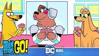 Teen Titans Go! | Animals Alive Part II | 