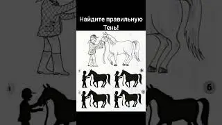 Загадка! найди правильную тень!