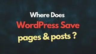 Where Does WordPress Save Pages & Posts