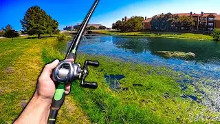 Pond Hopping for Suburban Bass! (My Top 3 FAVORITE Lures for FALL)