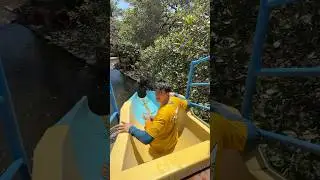 TOBOGÃ BIZARRO