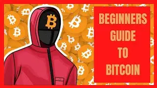 Beginners guide to bitcoin (btc explained0 Bitcoin quiz (Bitcoin for Dummies) Bitcoin whale