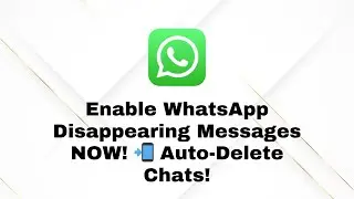 How to Enable Disappearing Messages on WhatsApp (Auto-Delete Chats!)