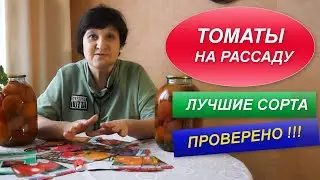 ТОМАТЫ  НА РАССАДУ | ЛУЧШИЕ СОРТА ТОМАТОВ | ВЫБИРАЕМ СЕМЕНА ДЛЯ РАССАДЫ