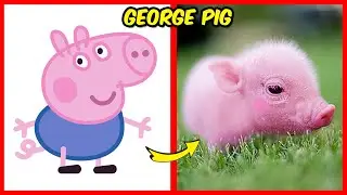 Peppa Pig 🔥 Shocking Real Life