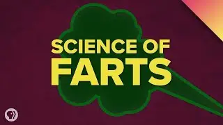 The Science of Farts