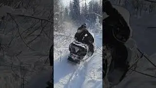 Polaris wt lx крадется через кусты 