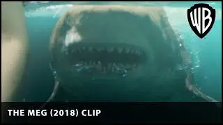 Get off the beach! | The Meg (2018) | Warner Bros. UK