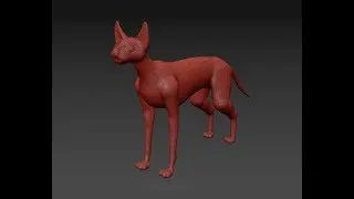 Autodesk Maya 2019 Cat: Applying Constructional Drawing method