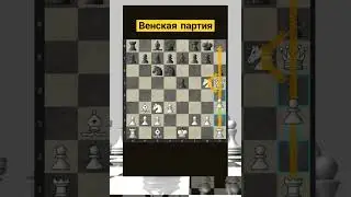 Венская партия 