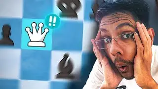 How to Become a Lolli’s Mate Master in Just 4 Minutes