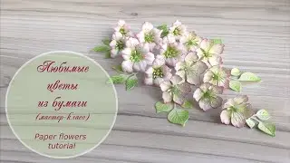 Любимые цветы из бумаги / Paper flowers tutorial