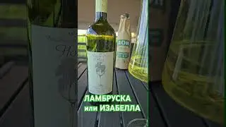 Летнее вино🍷