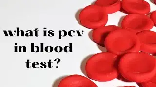 what is pcv in blood test? When pcv increases or Decrease? #packcellVolume #pcv #cbc #hematology