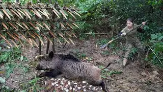 200 days of survival in the wild, wild boar trapping skills, survival alone