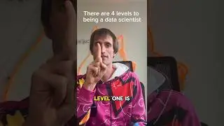 The four levels of data science!