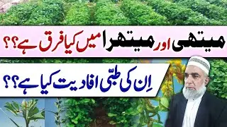 Difference between Methi and Methra || Health benefits of Methi || Crop Reformer