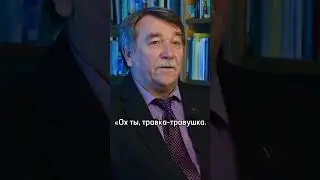 История казачества – рассказывает Андрей Венков #shorts