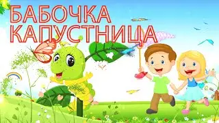 БАБОЧКА КАПУСТНИЦА. Детские песни