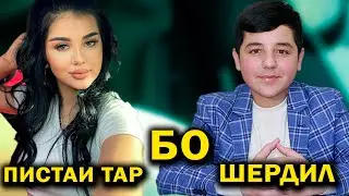 Пистаи Тар Бо Шердил. 2022