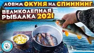 Великолепная рыбалка. Рыбалка 2021. Спиннинг. Ловим окуня. Окунь на спиннинг. Ловля окуня 2021.