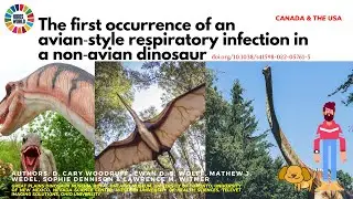 Respiratory infection in a dinosaur - Science News and Research News