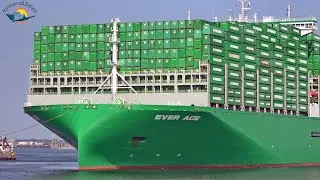 BIGGEST CONTAINER SHIP EVER ACE Maiden call at ROTTERDAM Port - Shipspotting September 2021