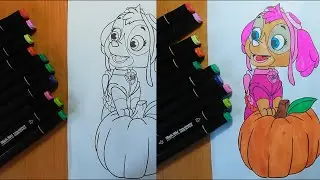 Skye Drawing, Colouring and Painting for Toddlers, Child, Kid's | Draw Skye PAW Patrol / Мультики