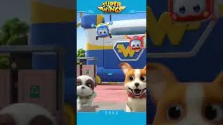 [SUPERWINGS #shorts] Trouble Puppies | Super Wings #superwings #jett