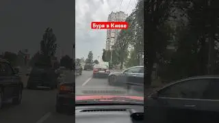 УПАЛО 🌳 ДЕРЕВО НА МАШИНУ 🚘 #tiktokvideo #funny #musicapp #тикток #fake #notfake