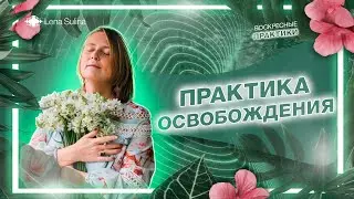 Практика освобождения | Лена Сулина