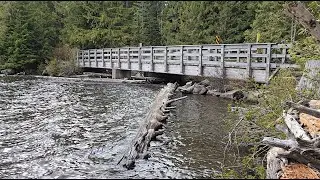 Lost Lake, Oregon (near Mt. Hood) - 5/20/24 - 5/5