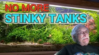 Does Your Clean Tank Smell Funky?