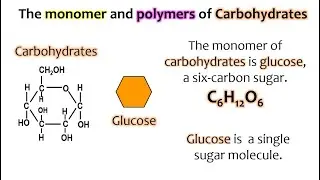 Carbohydrates AP Biology Topics 1.4 & 1.5 (Updated)