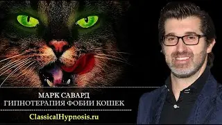 Гипнотерапия фобии кошек. Лечение айлурофобии в гипнозе. Полный сеанс и отзыв