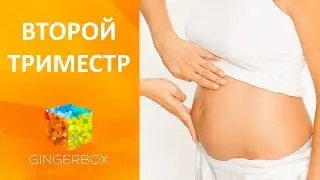 Второй триместр беременности // GINGERBOX