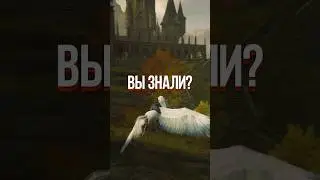 НОВЫЙ HOGWARTS LEGACY ПОДТВЕРЖДЁН! (ХОГВАРТС НАСЛЕДИЕ, 2023) 