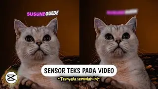 Cara Membuat Sensor Blur Pada Sebagian Teks Di Video Dengan Aplikasi CapCut