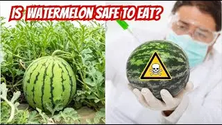 Growing Watermelon and does the store really inject coloring in it?