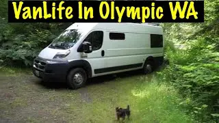 Van Life in Olympic National Park Part 1