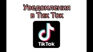 Уведомления в Тик Ток: как включить или отключить